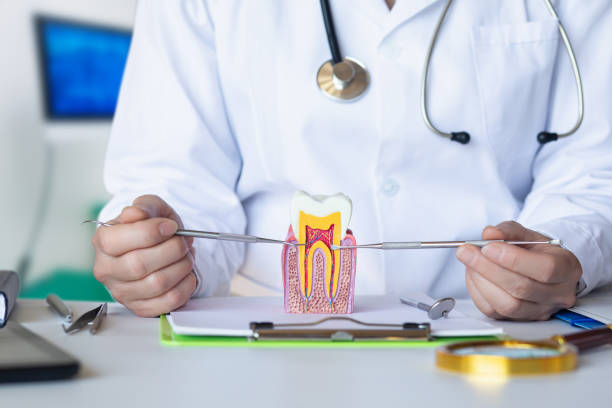 Best Emergency Tooth Extraction in Hampton, AR